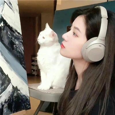 搅局者